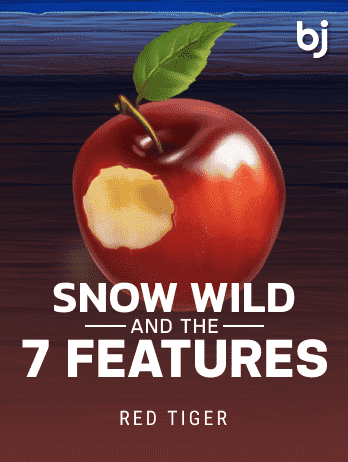 Snow Wild and the 7 Features game thumbnail